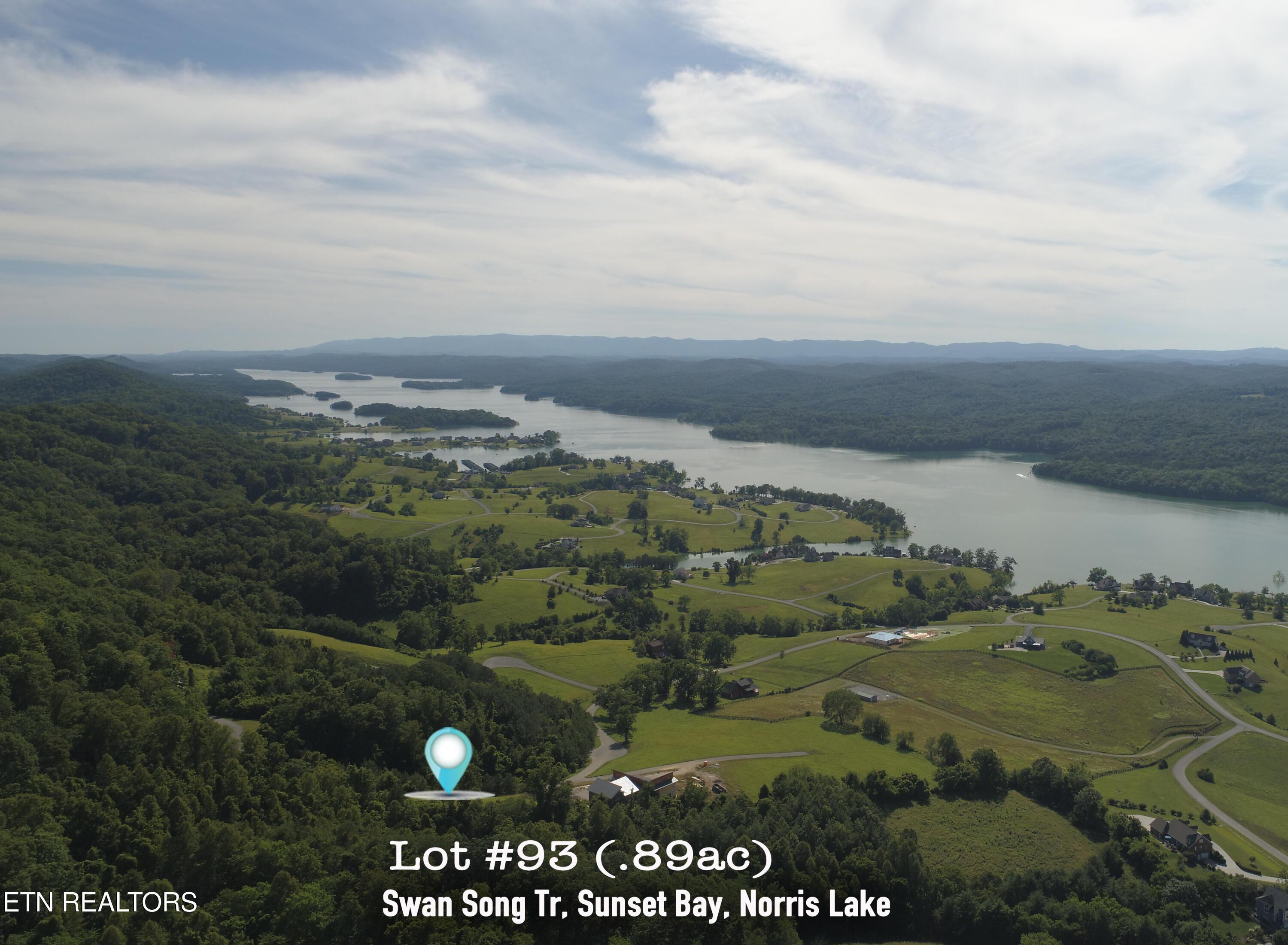 Image 4: L#93 Swan Song, Sunset Bay, Norris Lake