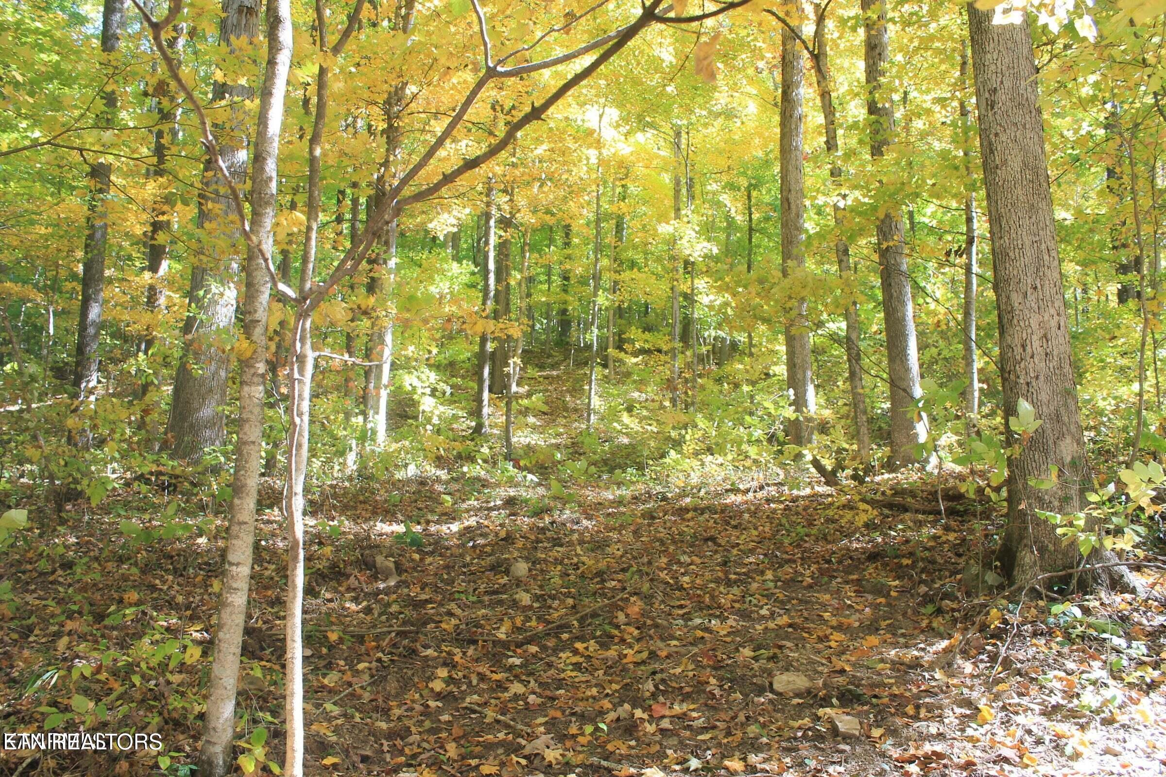 Image 2: lot 34 6