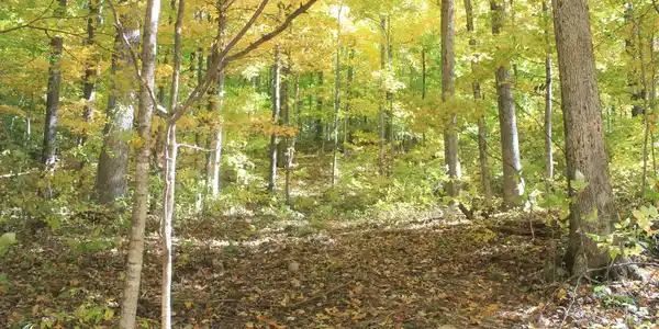 Image 2: lot 34 6