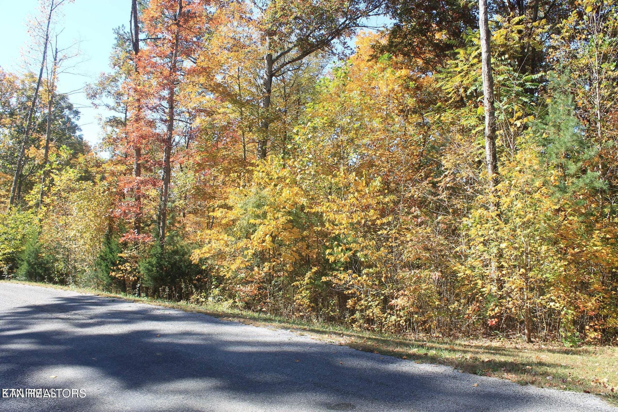 Image 3: lot 34 5