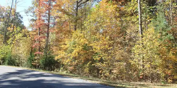 Image 3: lot 34 5