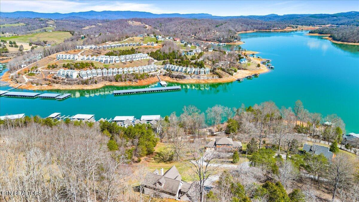 Image 3: 03-223 Holly Ln