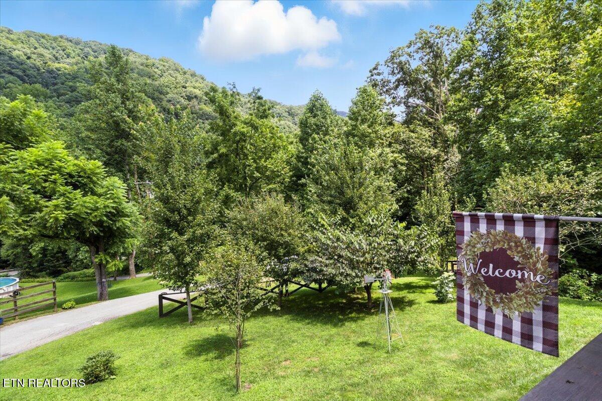 Image 4: 04-IMG_8935