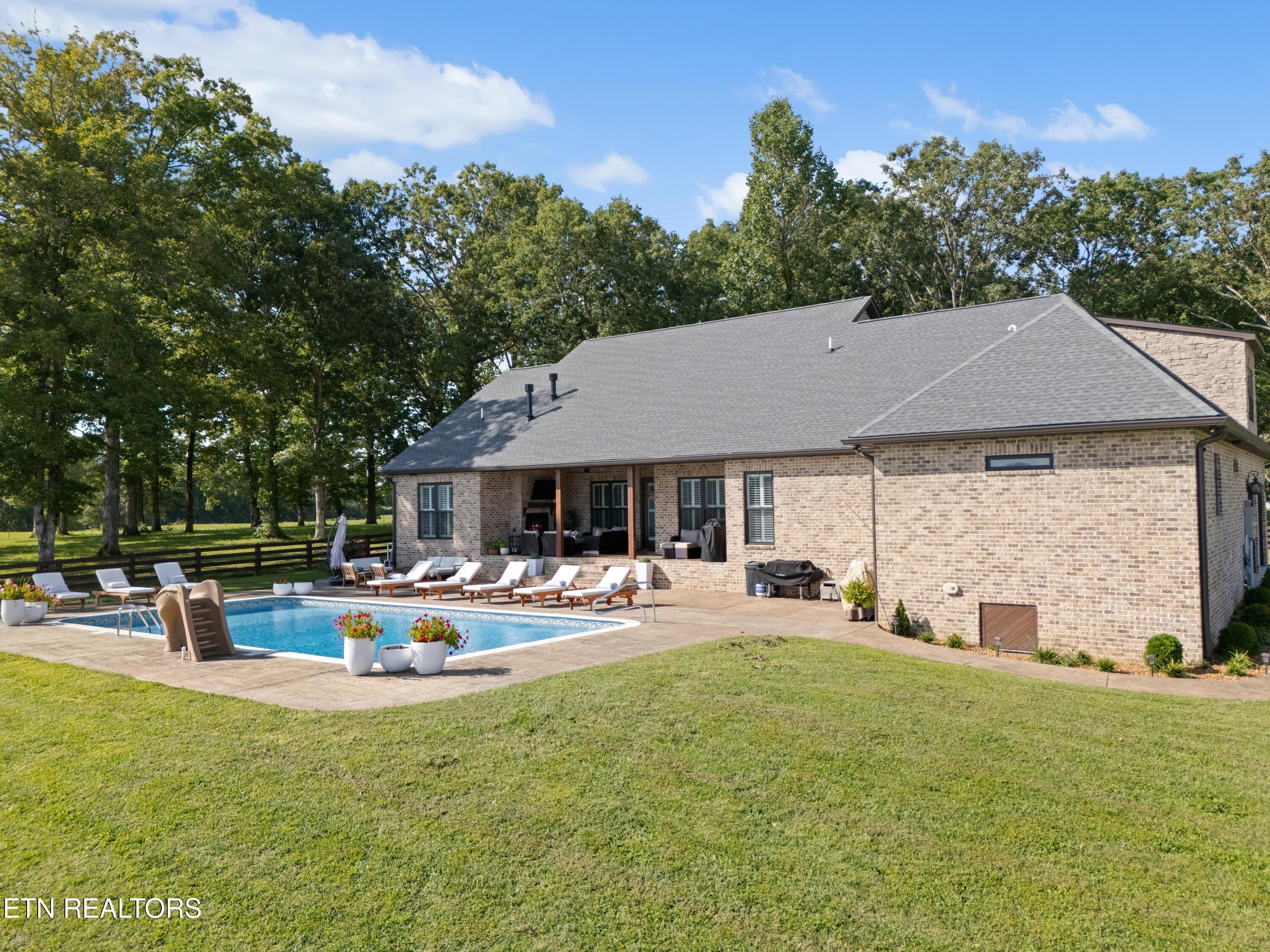 Image 4: house pool