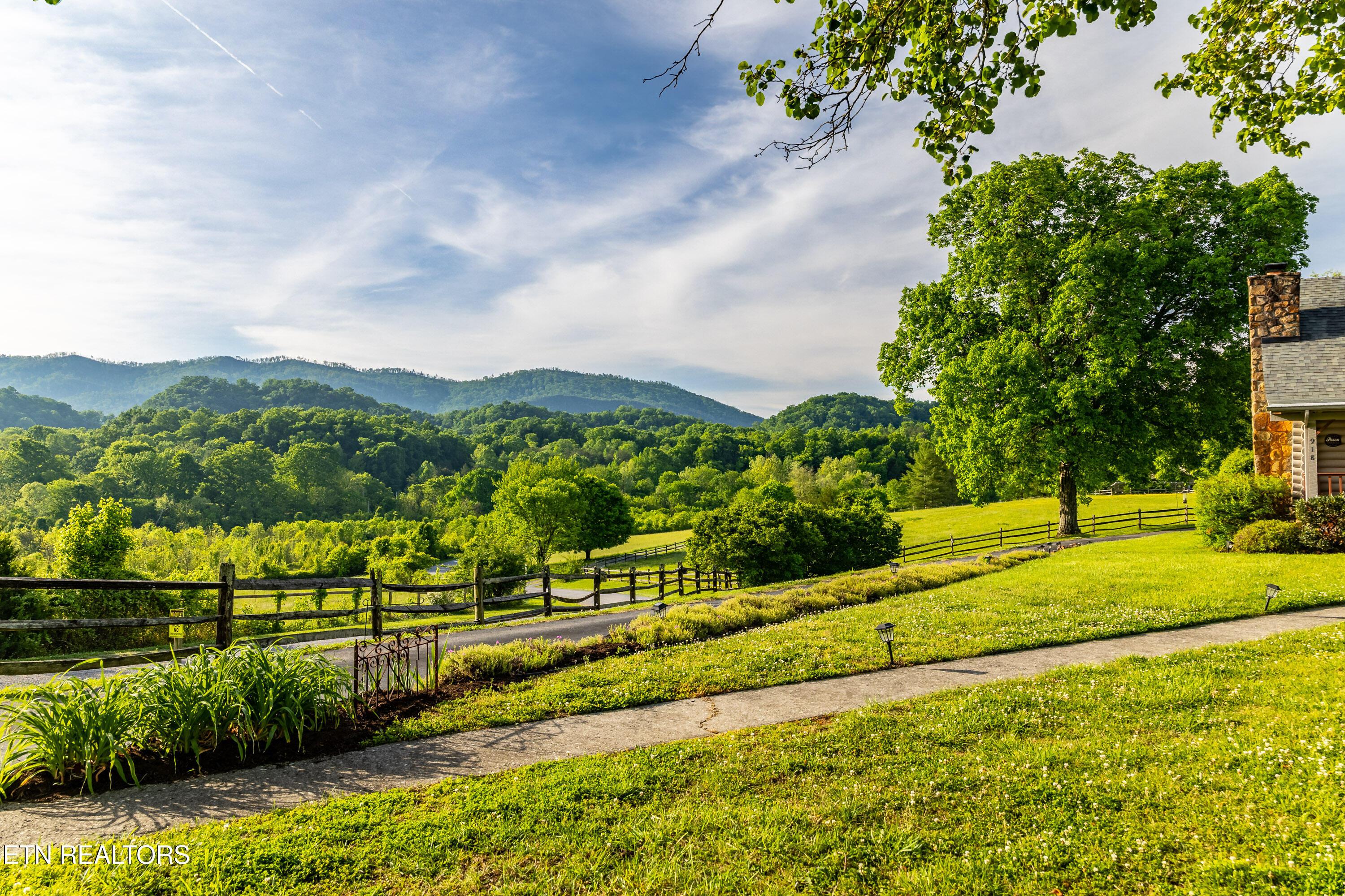 Image 3: 918CountryLn-7