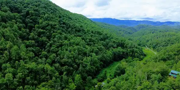 Carrs Creek Rd
