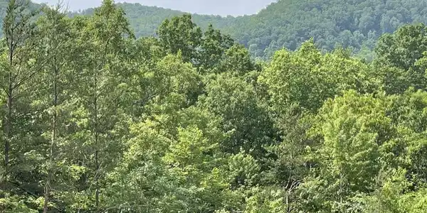 TR 5 Caney Creek (Land only) Rd