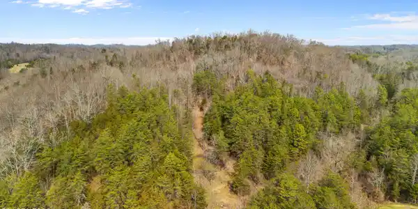 Image 4: dji_20260304122309_0359_d