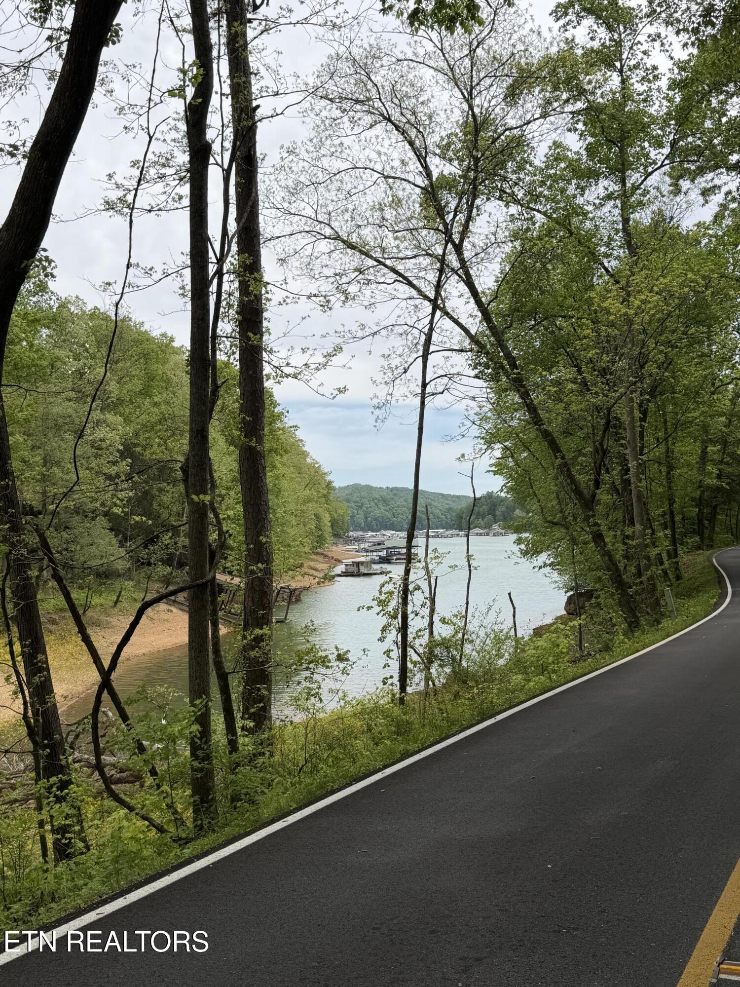 Image 2: Lakeview