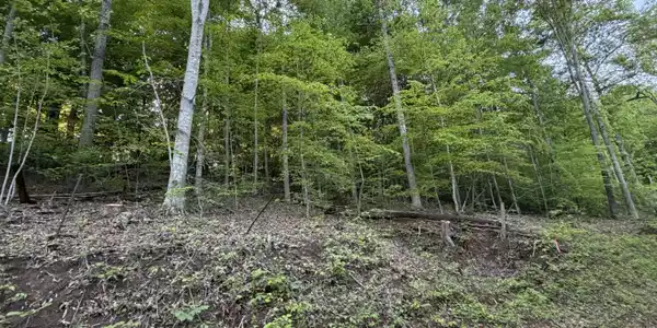 Image 4: IMG_1122