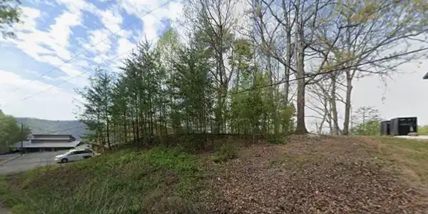Image 3: Access Dollys Drive_Area Noted on Survey