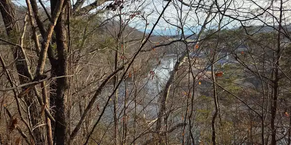 Image 3: 5504336281381429719