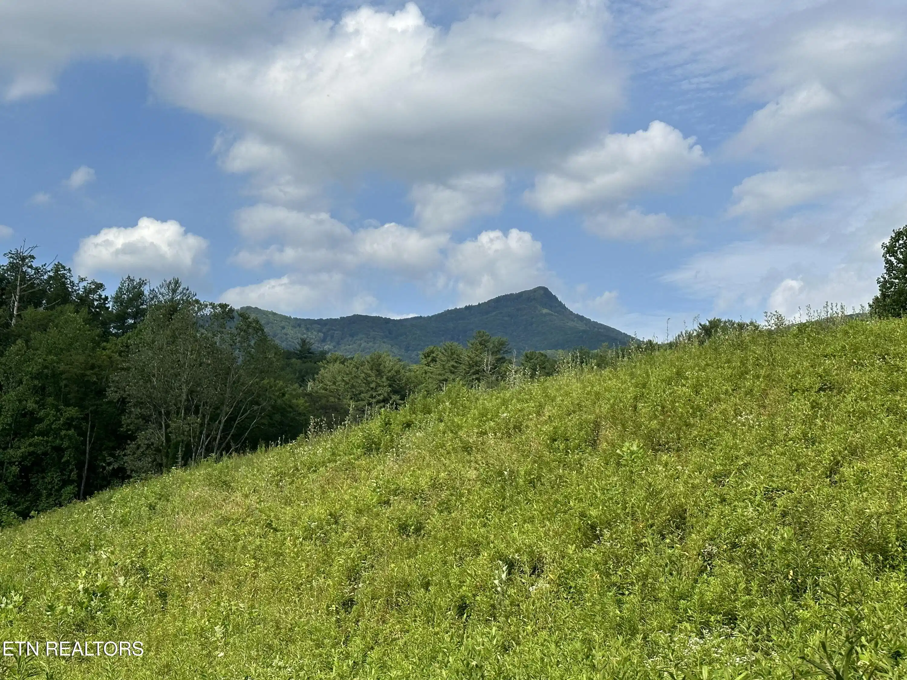 Image 1: image8