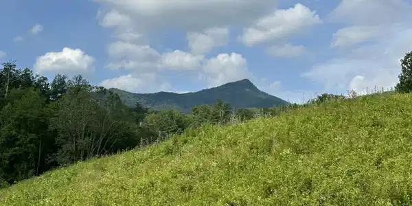 0 Barnes Hollow Rd