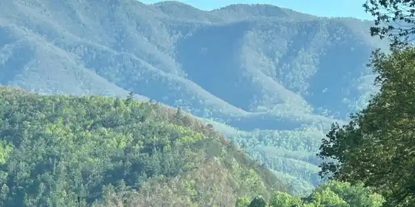 Image 2: mtn view