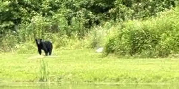 Image 3: Photo 22