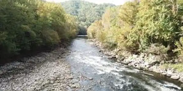 Image 4: Photo 3