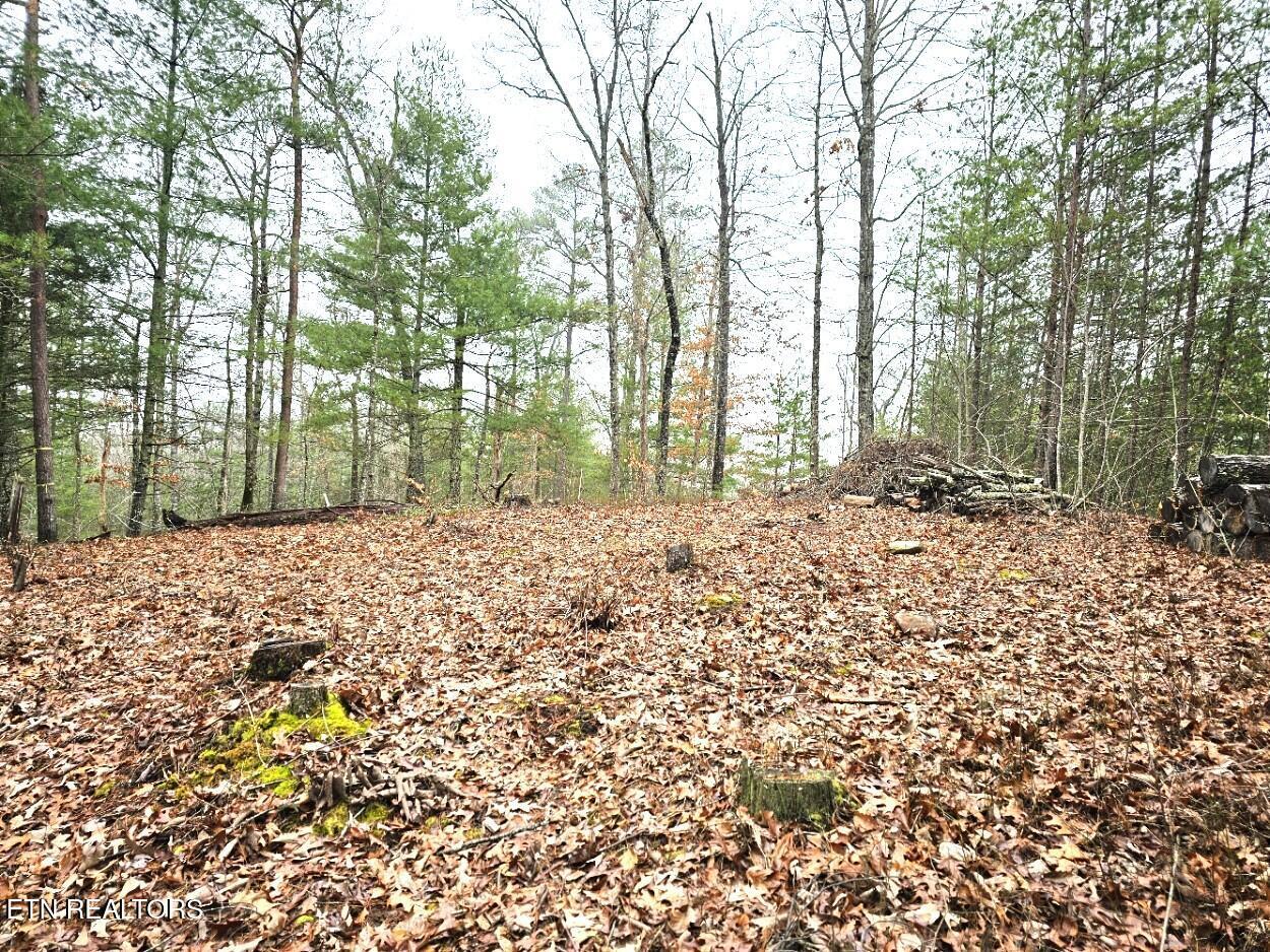 Image 3: 4