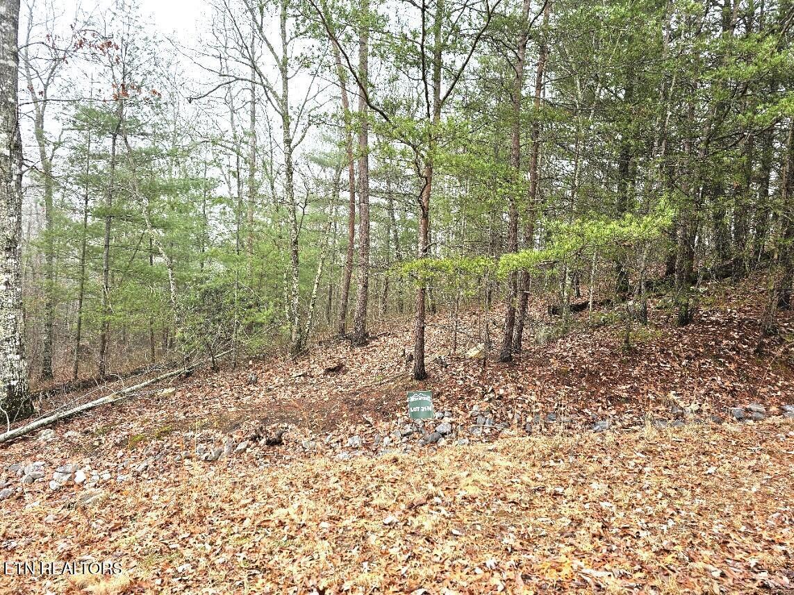 Image 4: 3