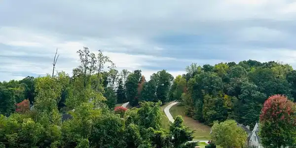 Laurel Ridge Lane