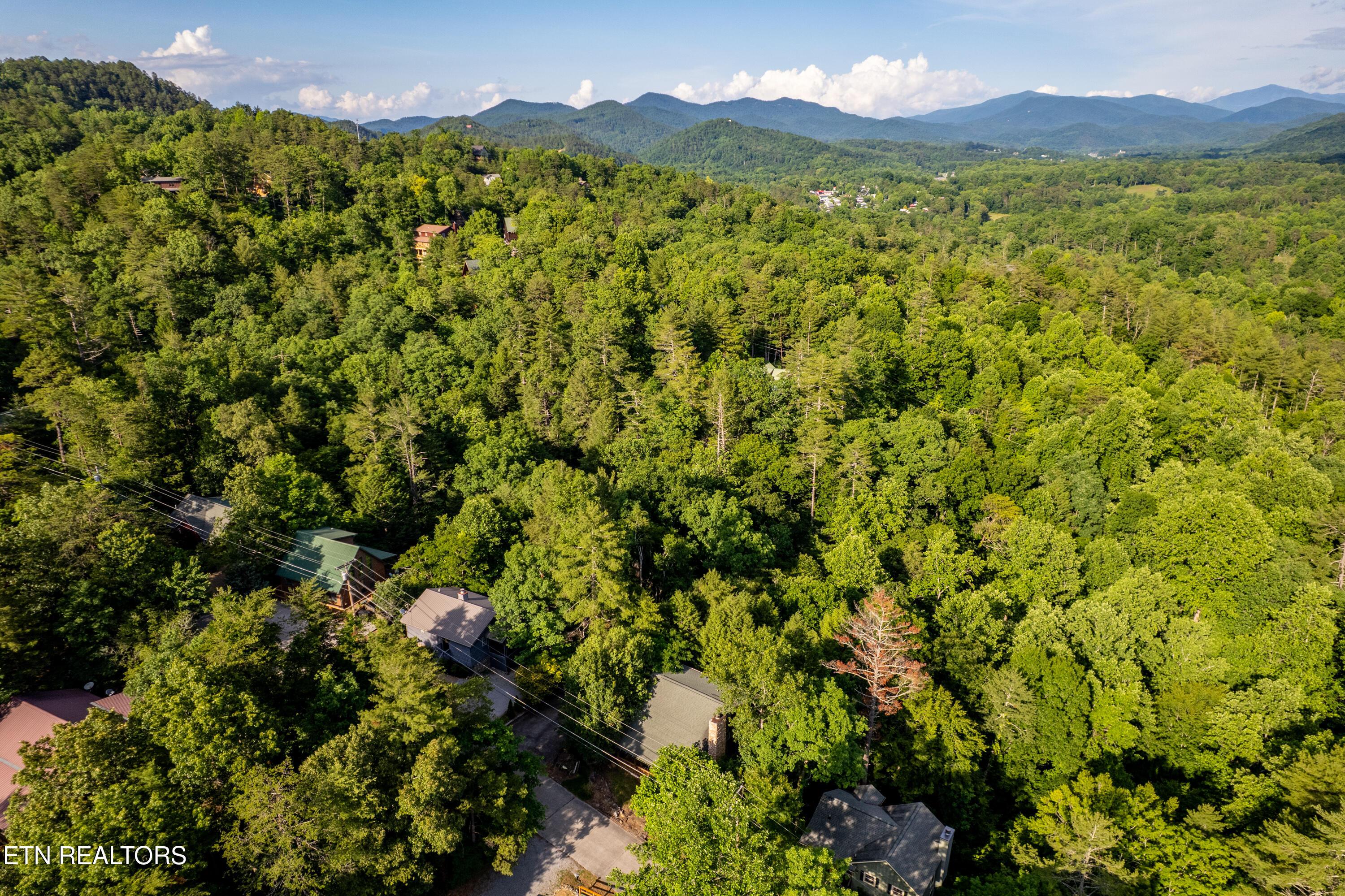 Image 3: 124CutterGapRd-3