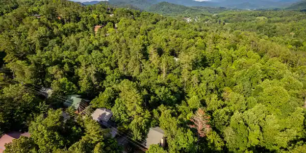 Image 3: 124CutterGapRd-3