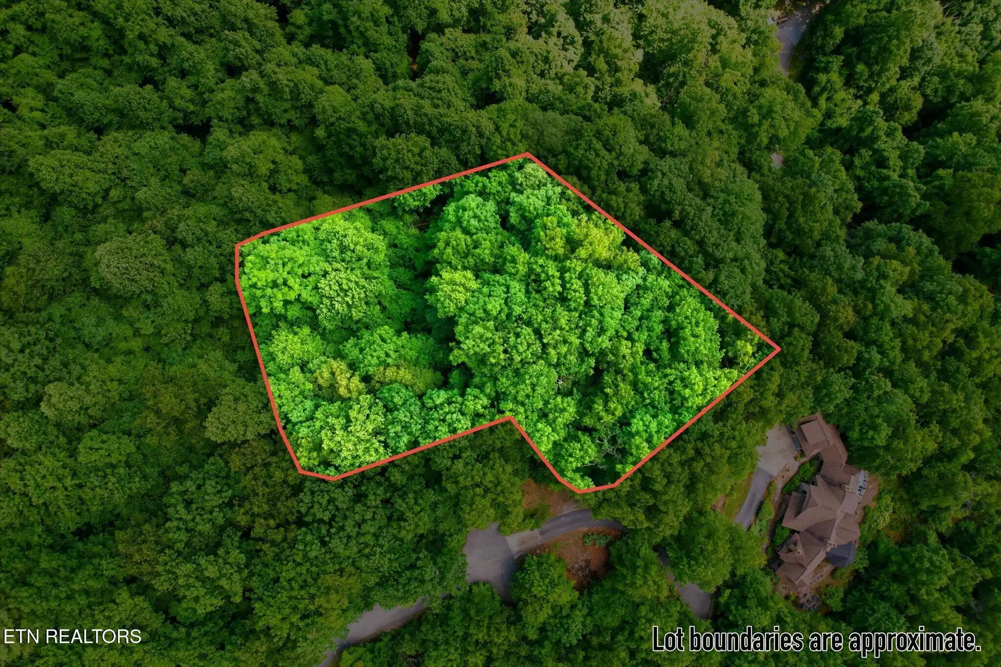 Image 1: Wood Fern Way 1
