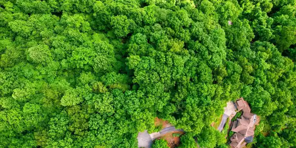 Image 2: Wood Fern Way 2