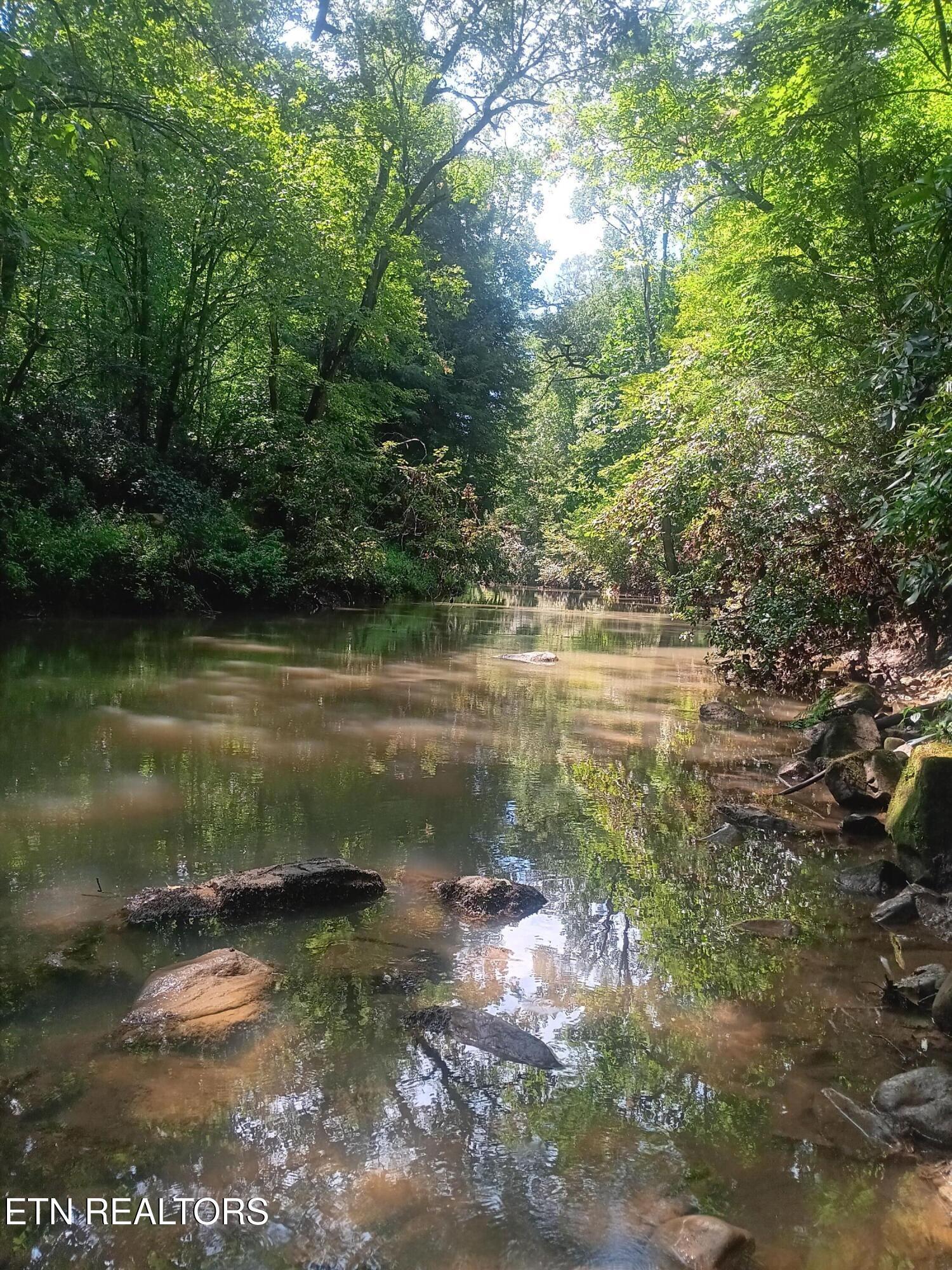 Image 4: 4