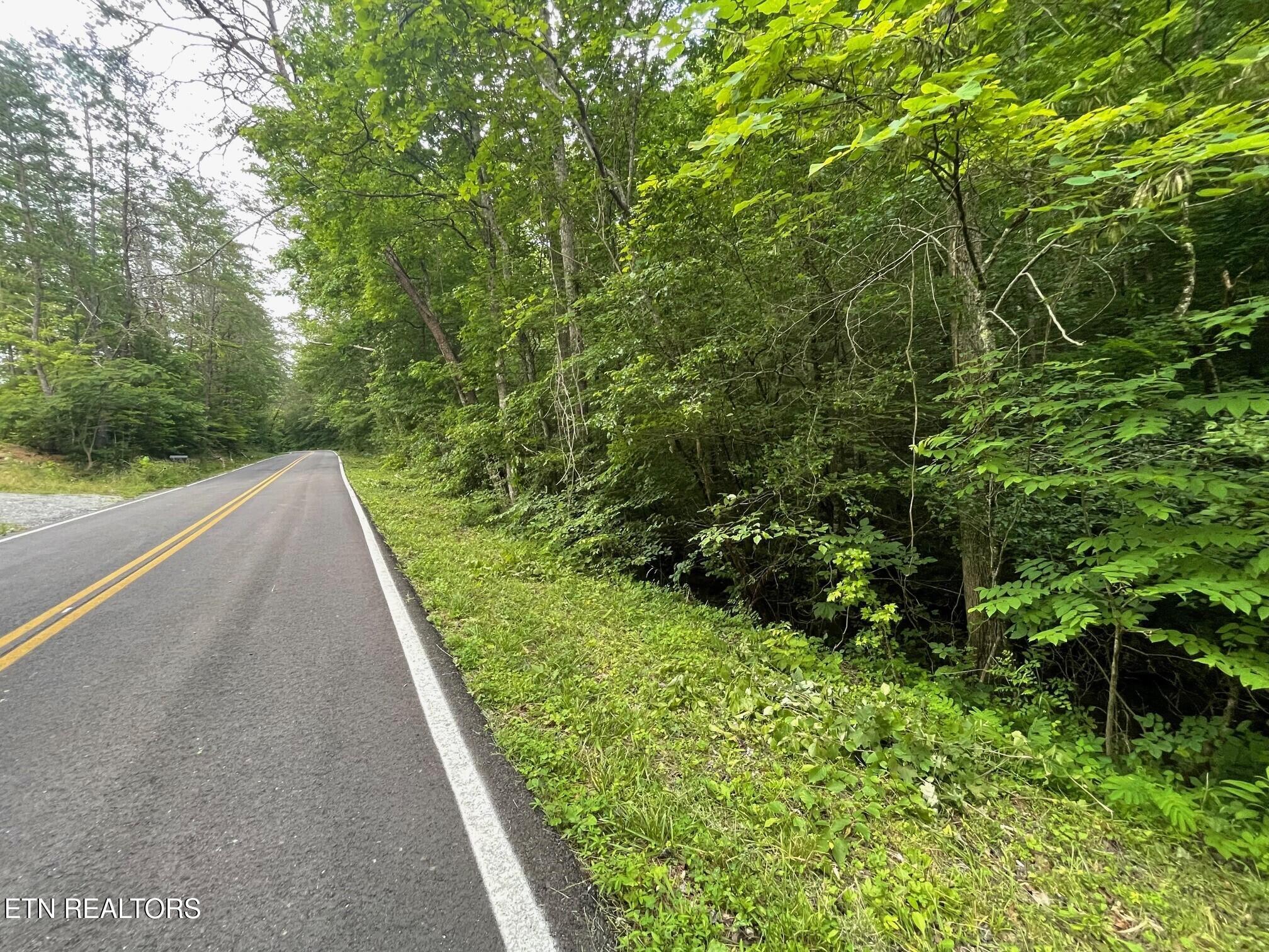 Image 1: 1477 Old Chilhowee Road, Seymour