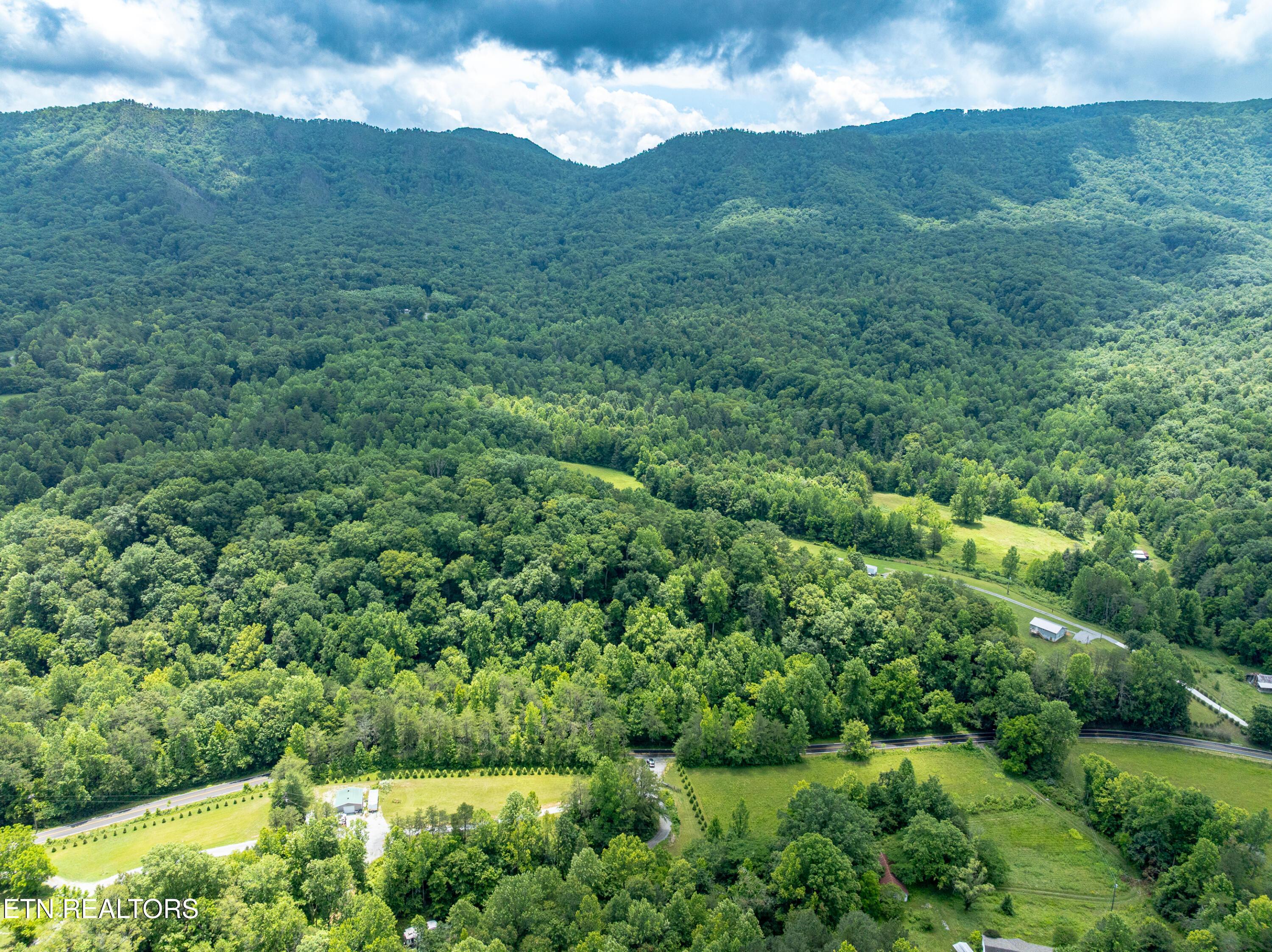 Image 4: Aerial