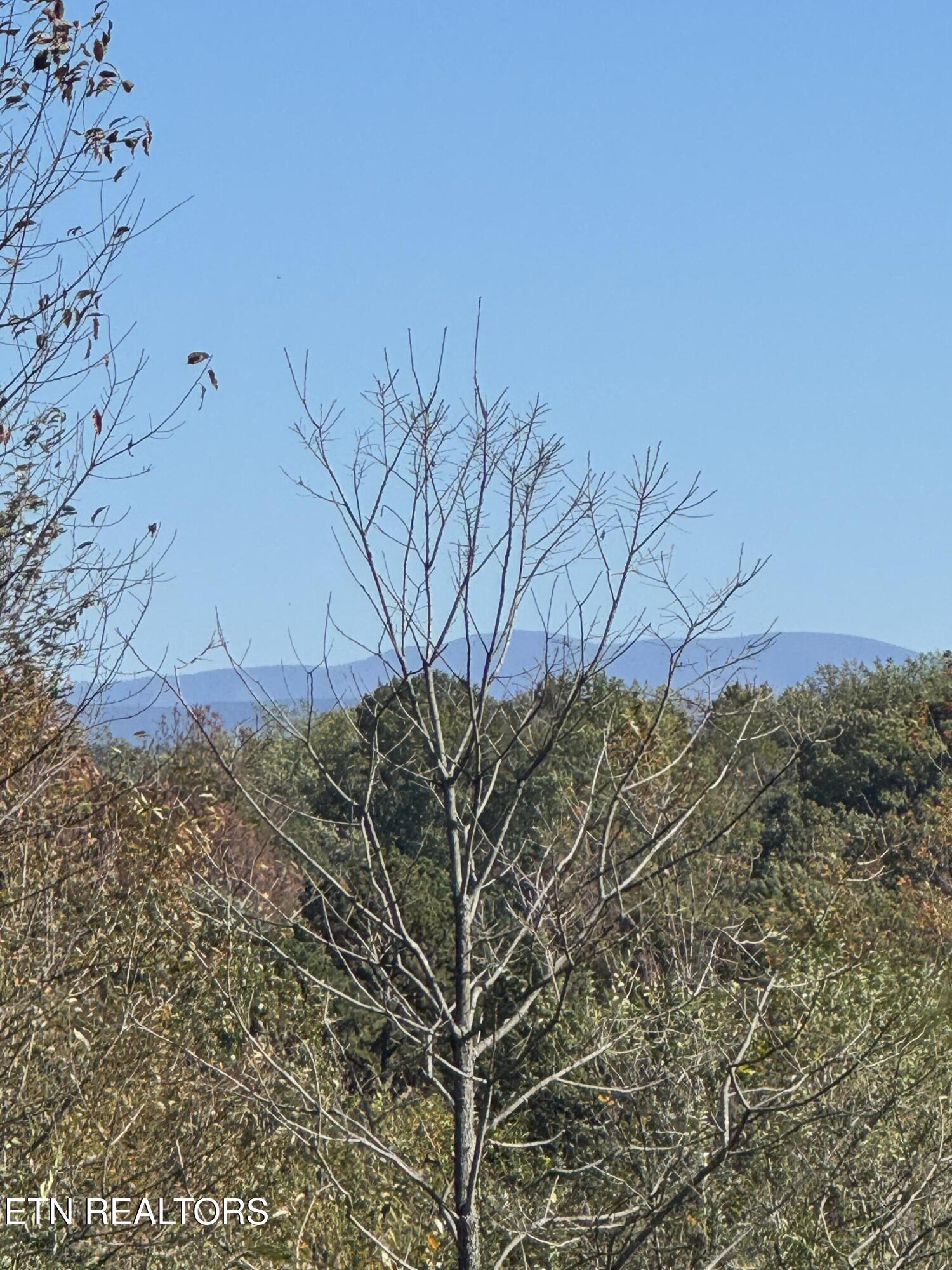 Image 3: IMG_5914