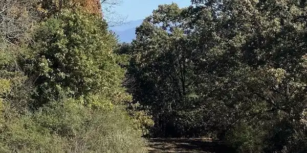 Image 4: 0