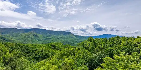 Image 3: DJI_20260501141502_0486_D