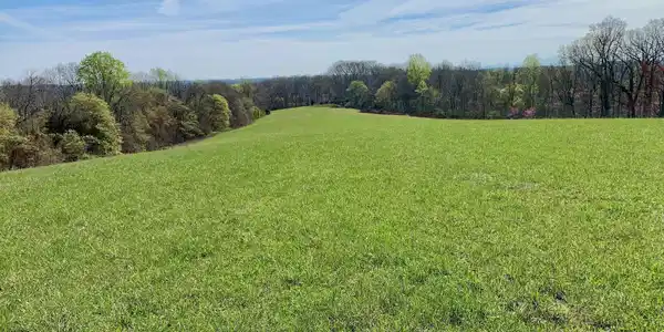 Somerset Estates | Homesite 4