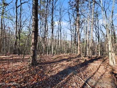 Avens Lane