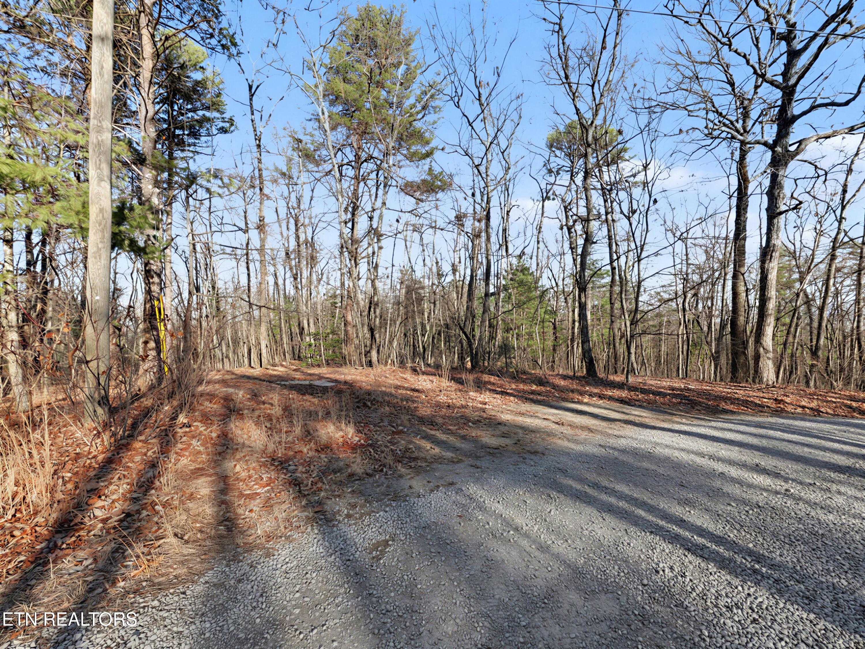 Image 3: Avens Lane