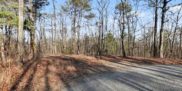 Image 3: Avens Lane