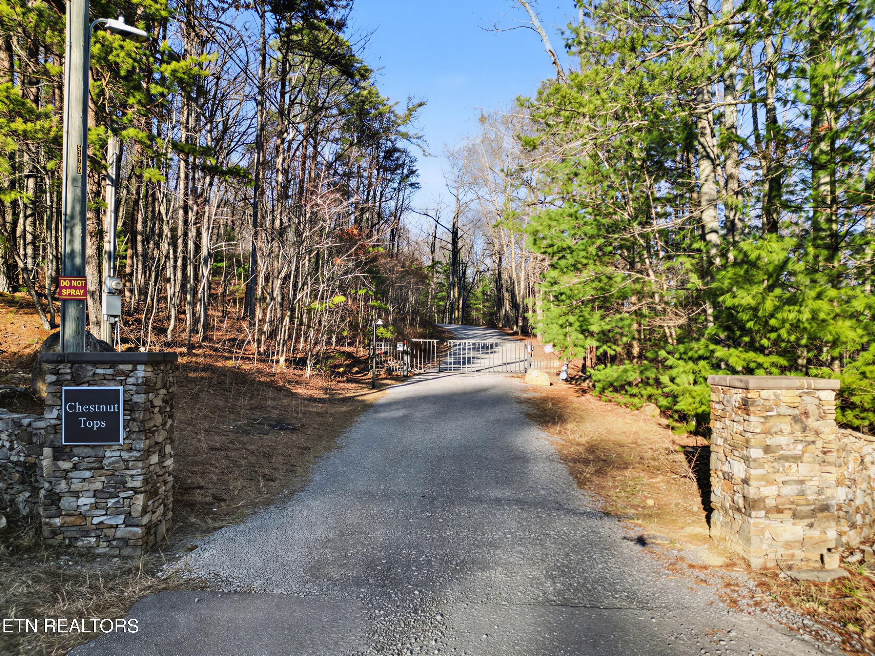 Image 4: Gated community