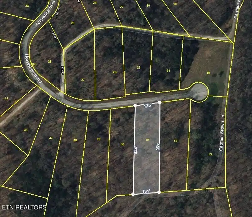 Image 1: Lot