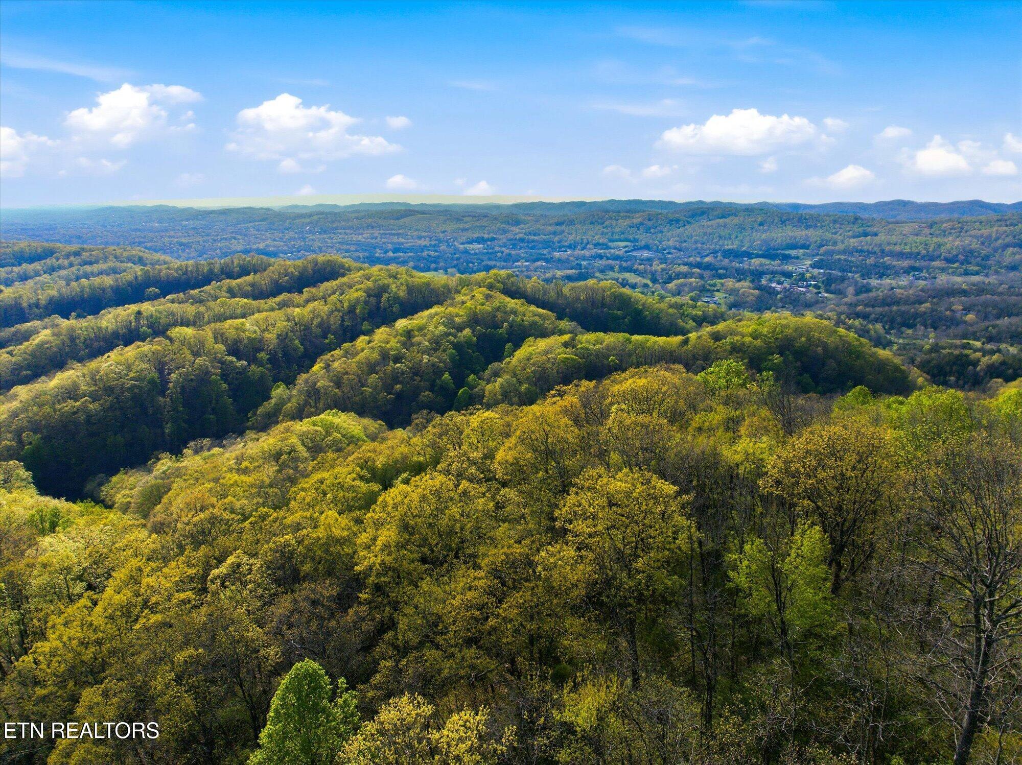 Image 2: 07-Jim-Town-Rd-Luttrell-TN-7