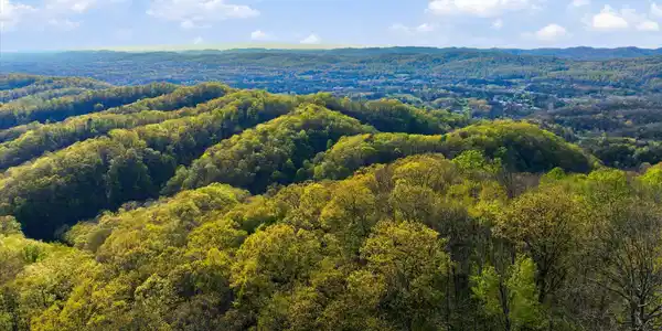 Image 2: 07-Jim-Town-Rd-Luttrell-TN-7