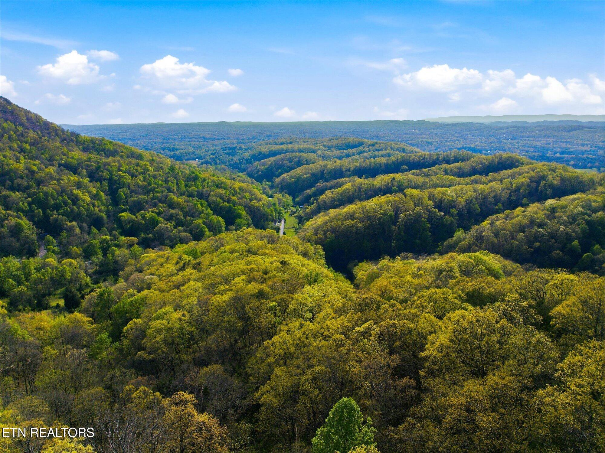 Image 3: 08-Jim-Town-Rd-Luttrell-TN-8