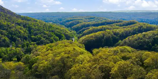 Image 3: 08-Jim-Town-Rd-Luttrell-TN-8