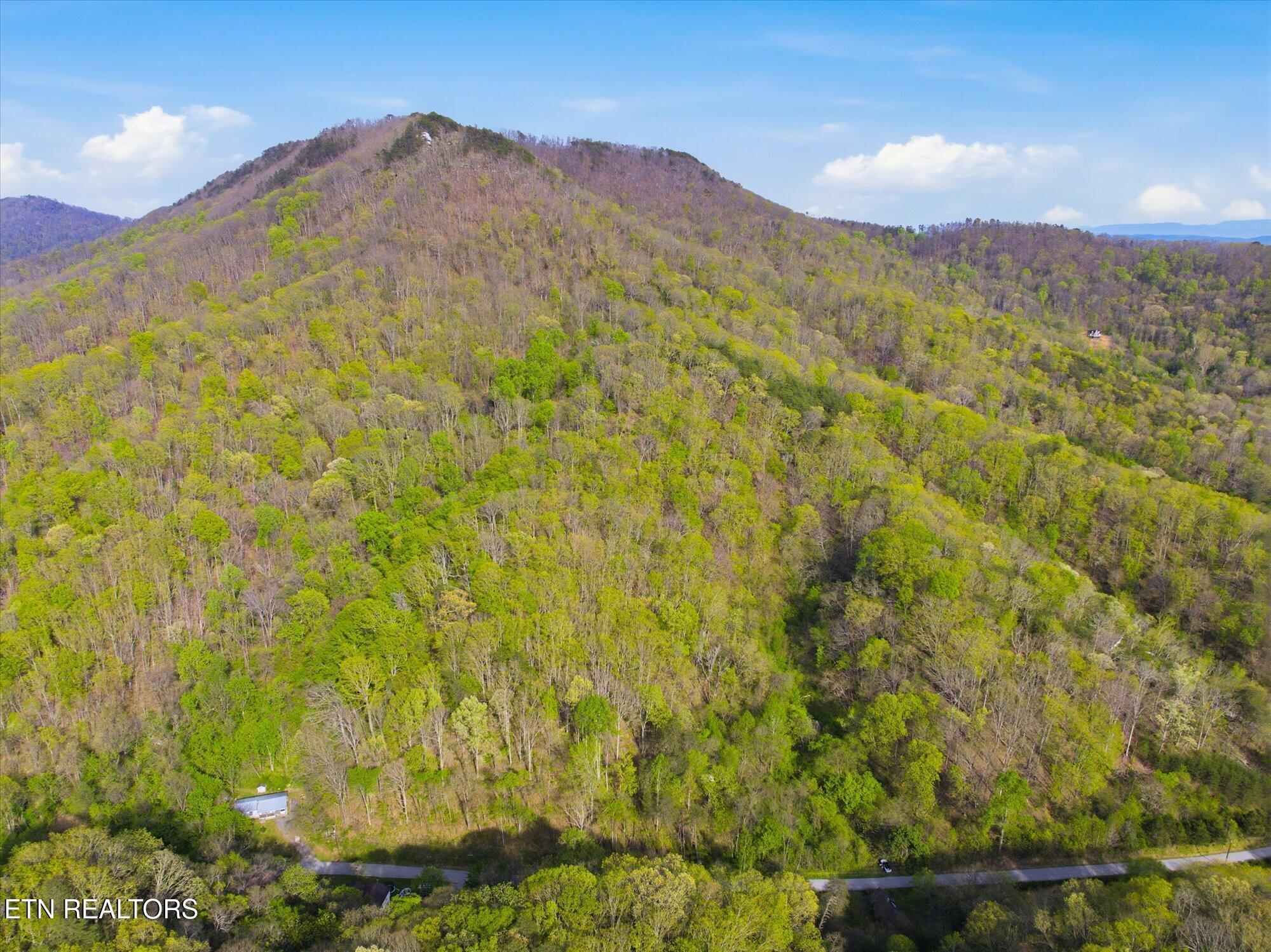Image 4: 02-Jim-Town-Rd-Luttrell-TN-2