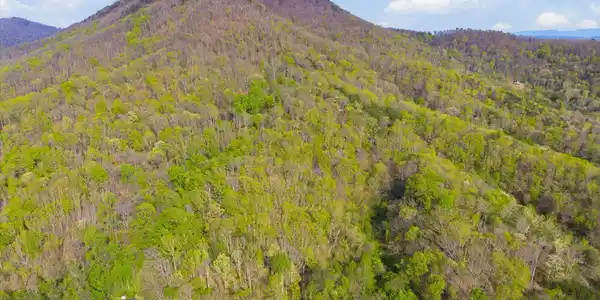 Image 4: 02-Jim-Town-Rd-Luttrell-TN-2