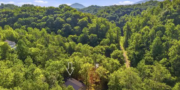 Image 4: dji_20260824102744_0238_d
