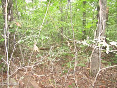 Lot 15 Cheyenne Drive