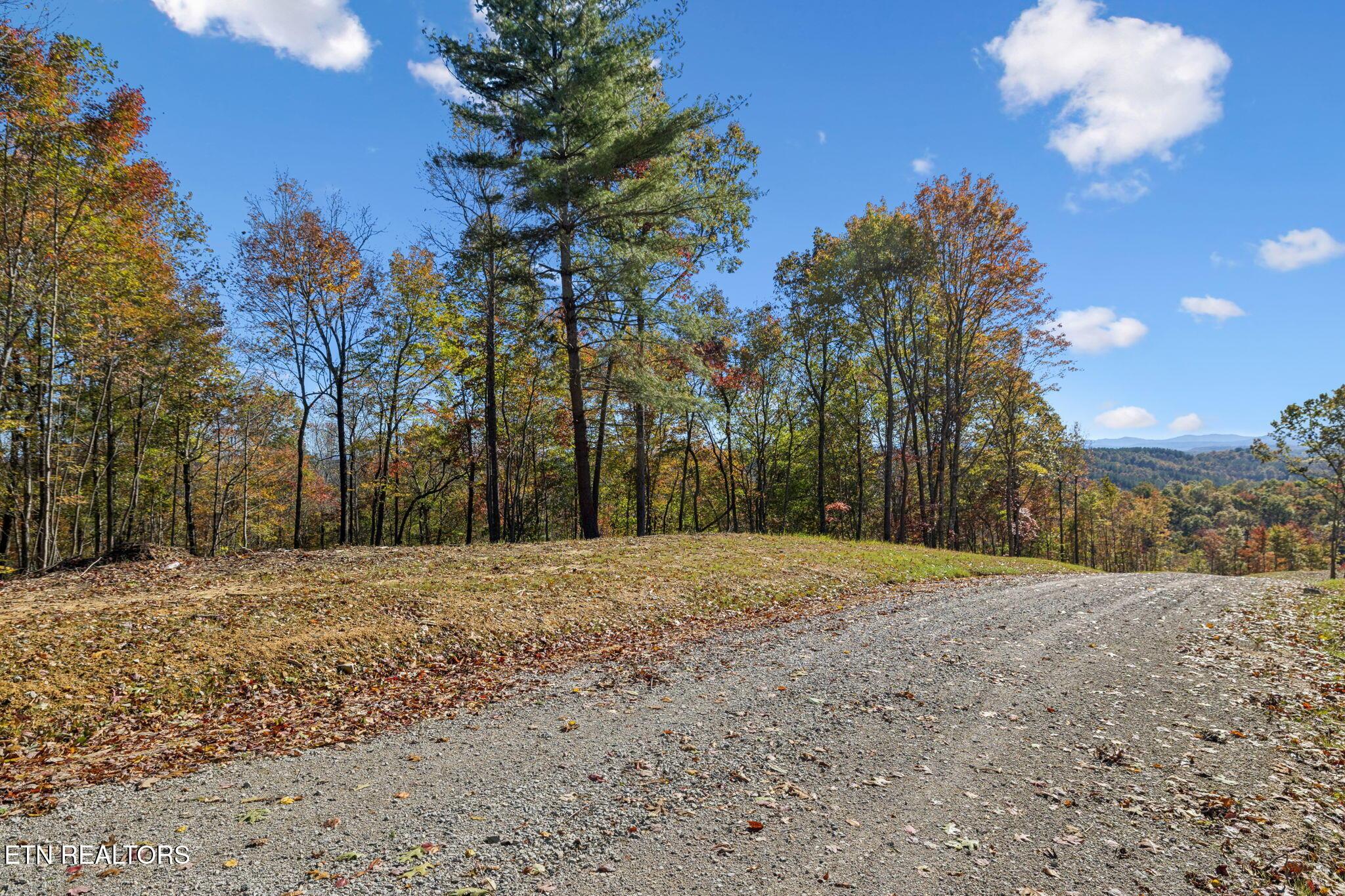 Image 4: 2-Sheep Ranch Rd - 2 - 002