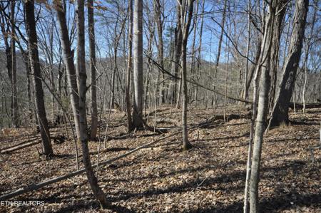 00 Old Tazewell Pike